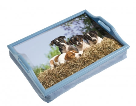 Lap Tray With Cushion